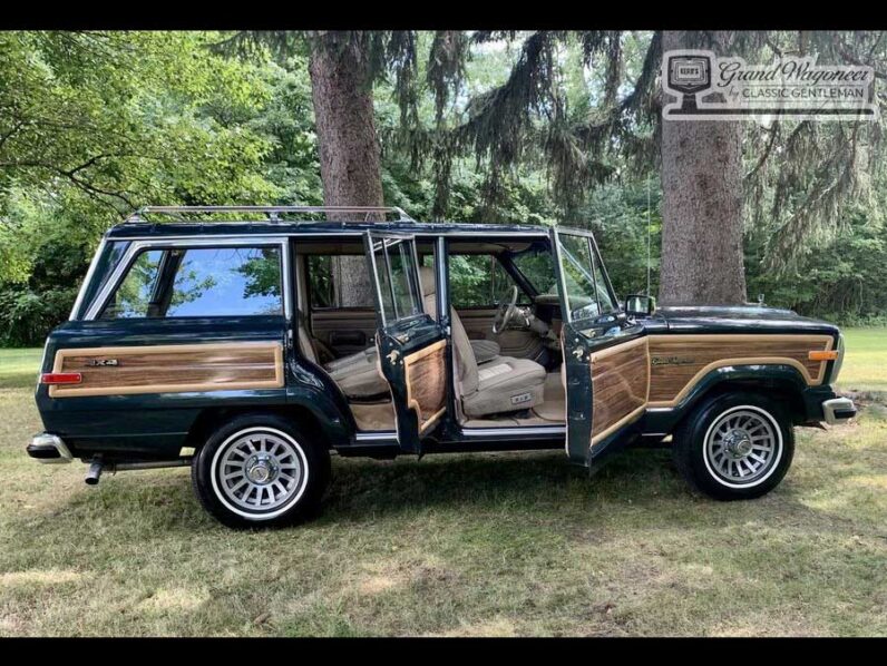 1991 Jeep Grand Wagoneer full